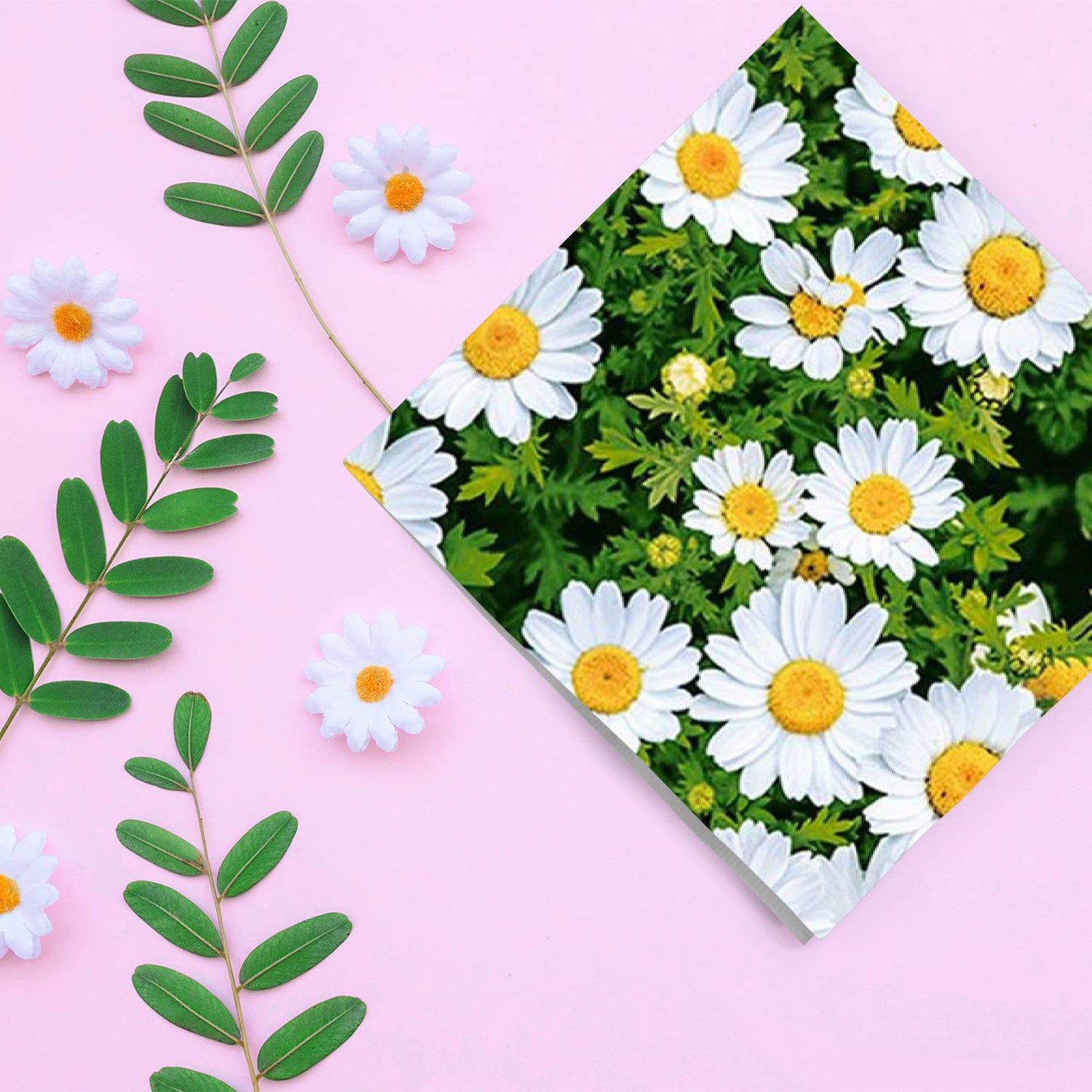 Flowers #37 Disposable Lunch Paper Napkins 20CT Napkins VeZee