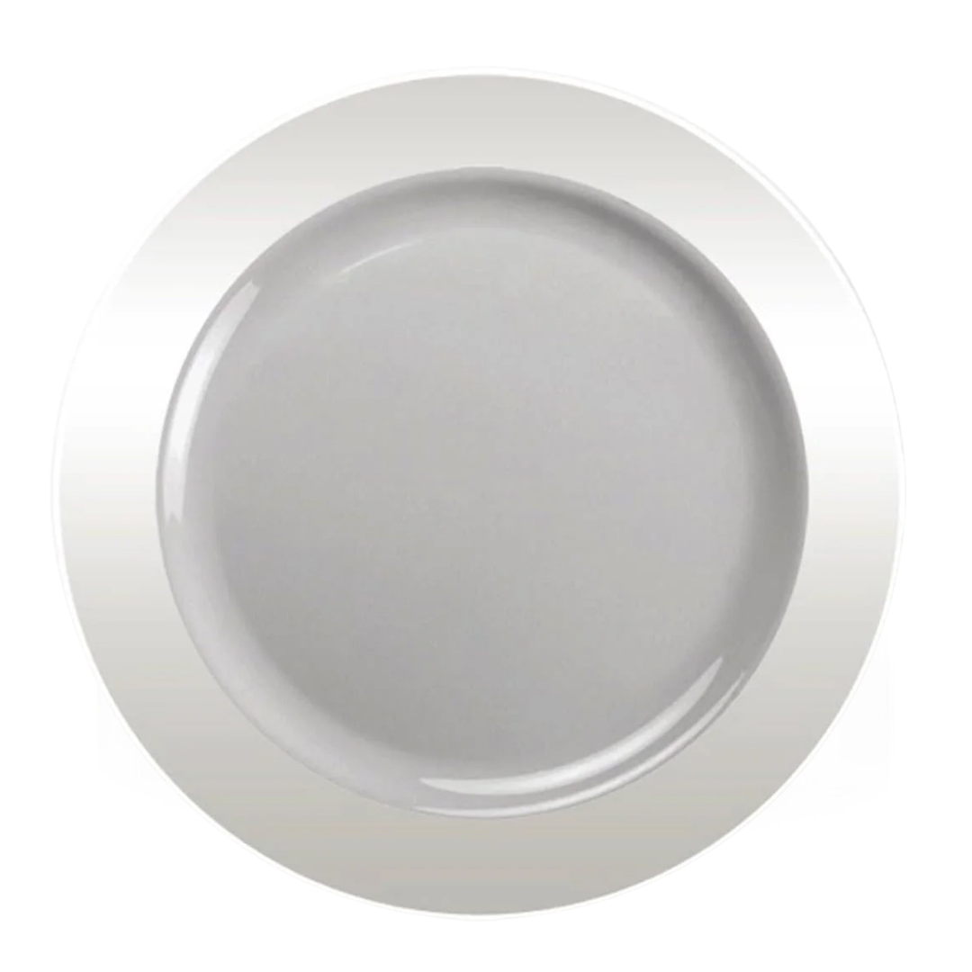 *WHOLESALE* Magnificence Heavy weight 10.25" Plastic Dinner Plate Value pack Clear: 240CT Disposable Plates Lillian Tablesettings