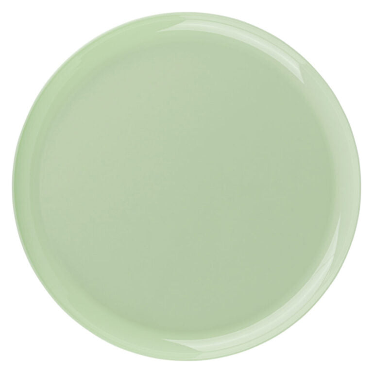 The Edge Collection 10" Mint Green Round High-End Plastic Plates Disposable Plates SIMCHA Collection