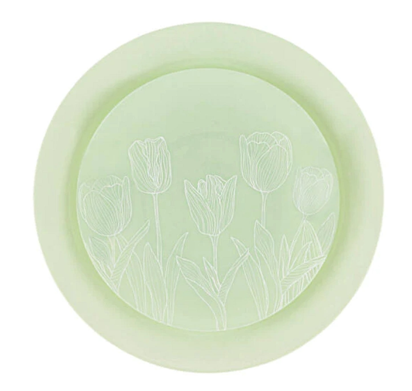 Combo set 10.25in. & 7.5in. Mint Green Tulip Round Plastic Dinnerware Set Elegant Plates Blue Sky   