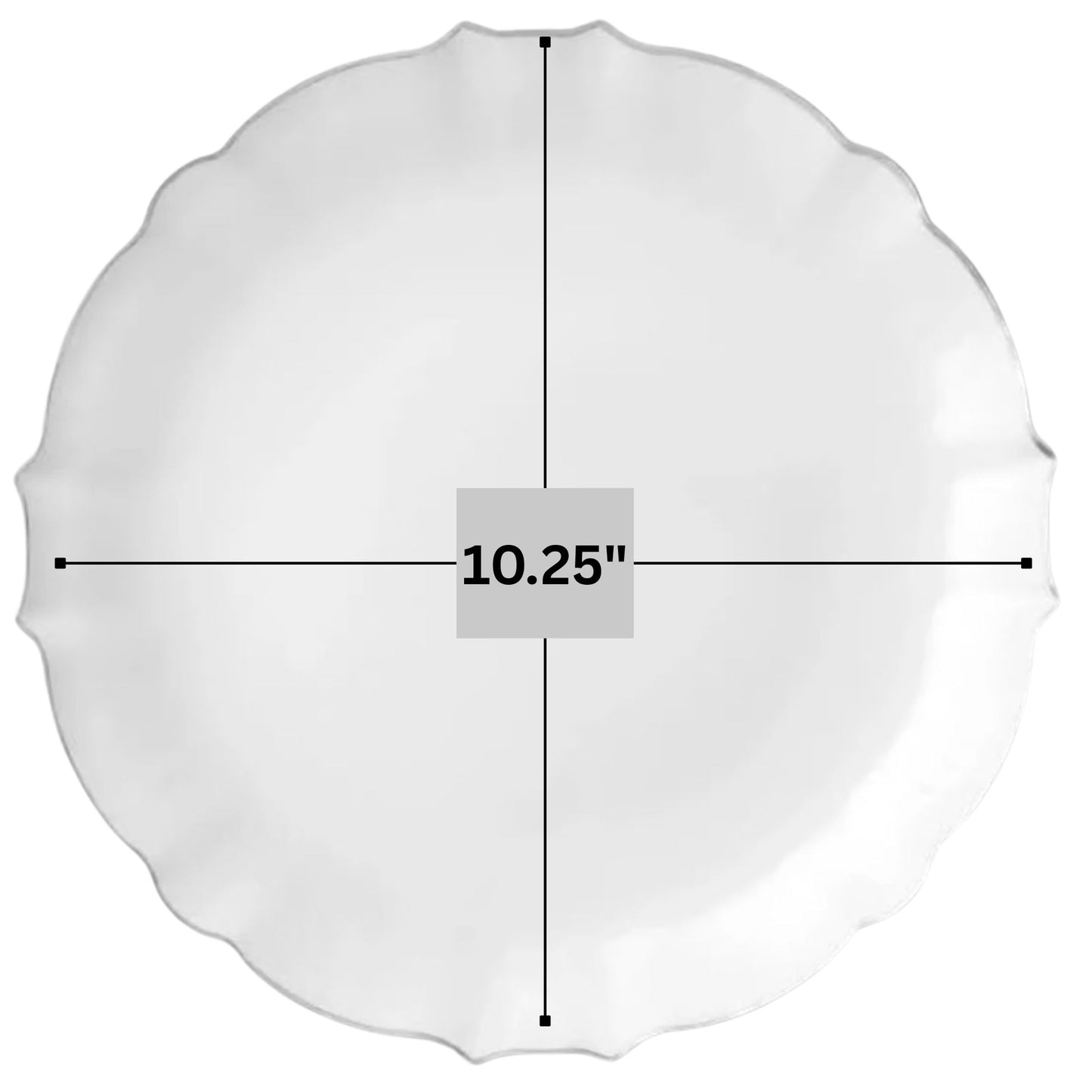 Luxe 10.25" White With Silver Rim Plastic Disposable Dinner Plates 10 Pack Disposable Plates VeZee