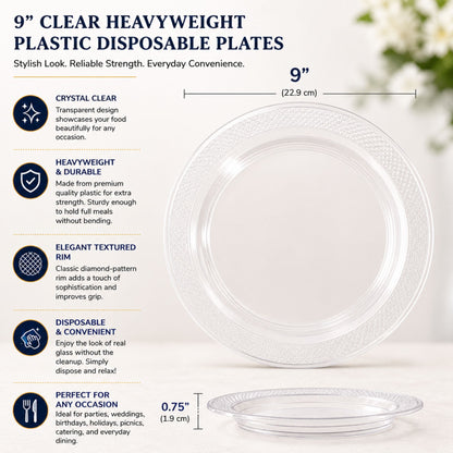 *BUY BULK* 9" Plates Clear Heavyweight Plastic Disposable Disposable Plates Hanna K Signature