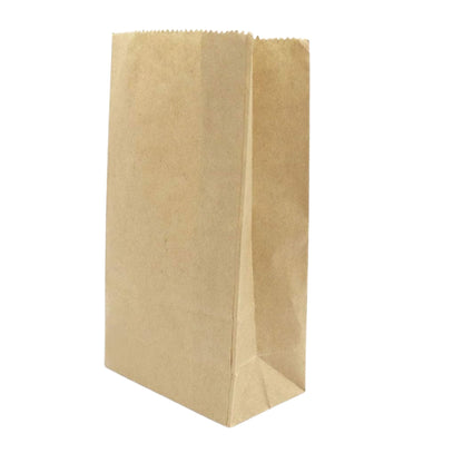 Brown paper bag on a white background