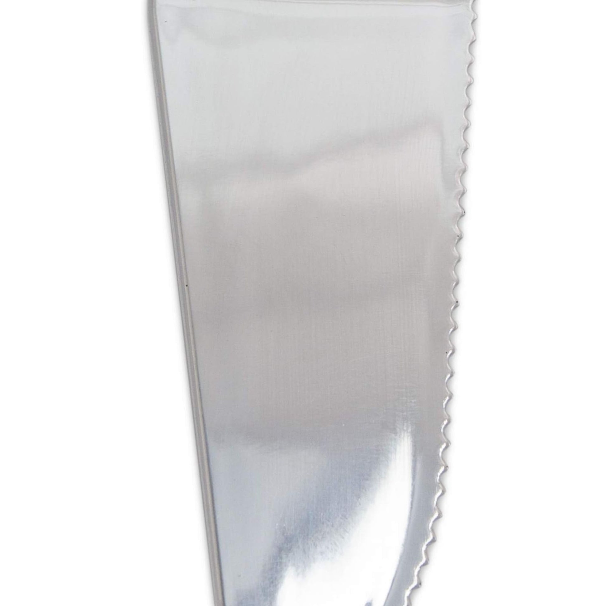 9" Cake Server Set Plastic Silver Polished Cake Servers Lillian