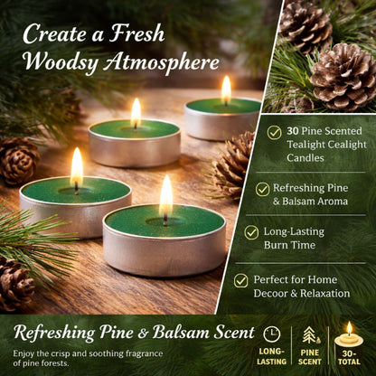 Tealight Pine Scented Candles (30 C0 Count) Candles WICK & WAX